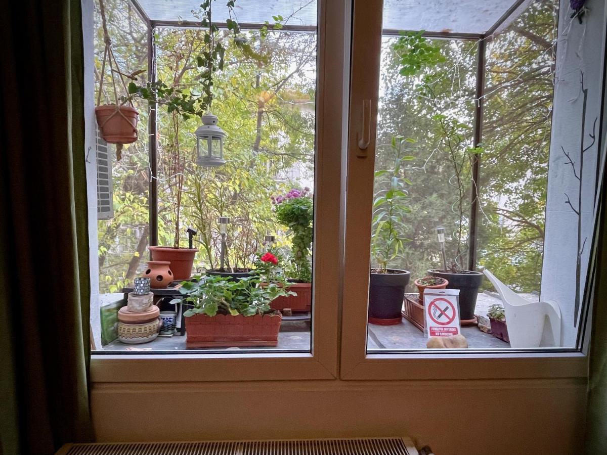 Apartament Mayahouse